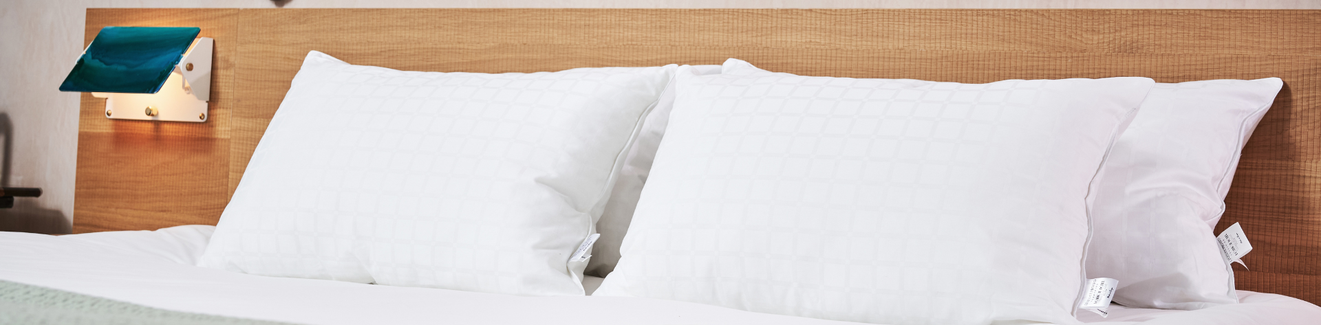 Premium Everyday Pillows