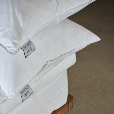 Tencel Pillow | Tencel Pillow Pair | Tencel Pillows