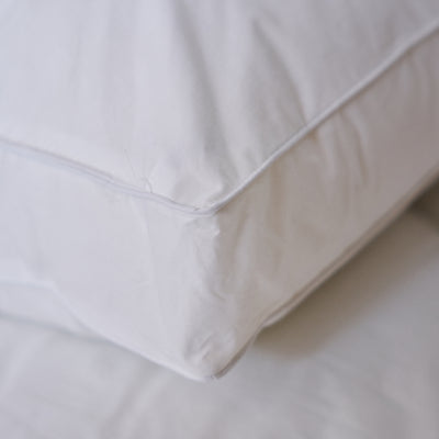 Biodegradable Pillows