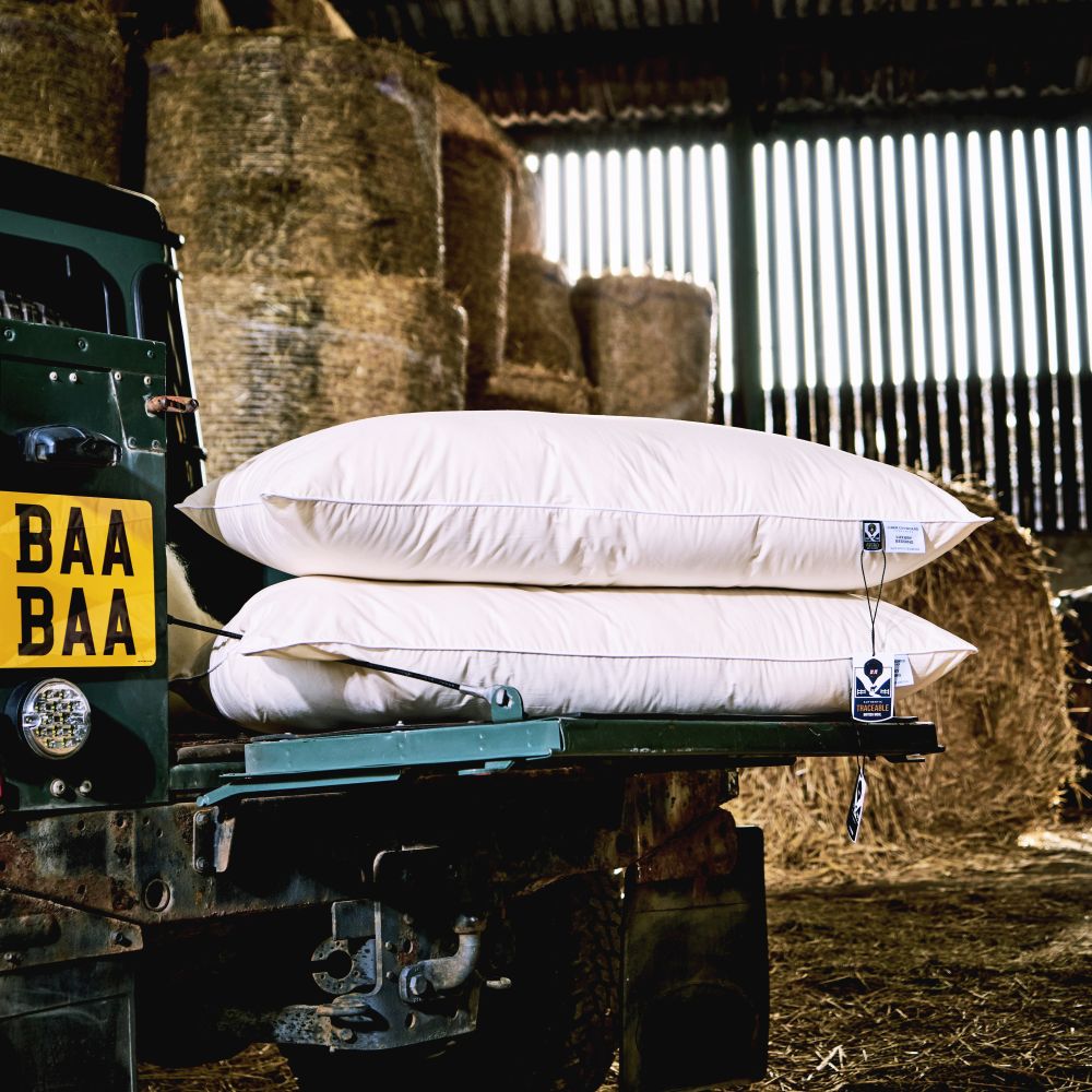 Finest British Wool Pillows