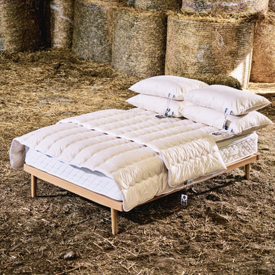 Finest British Wool Duvet