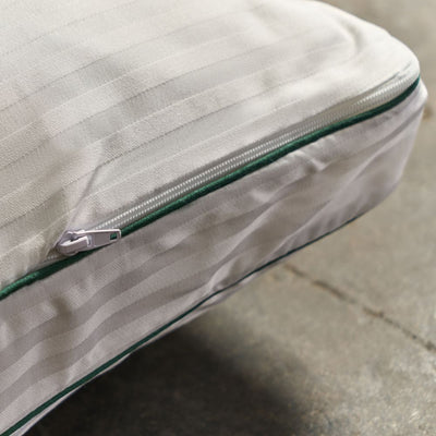 Aloe Vera Bamboo Pillows