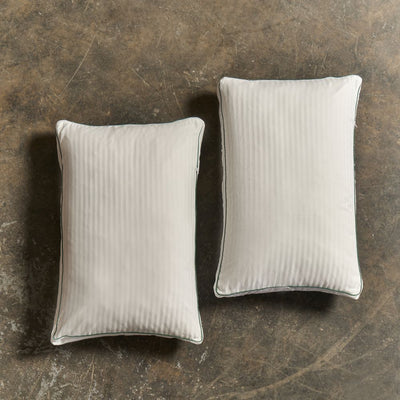 Aloe Vera Bamboo Pillows