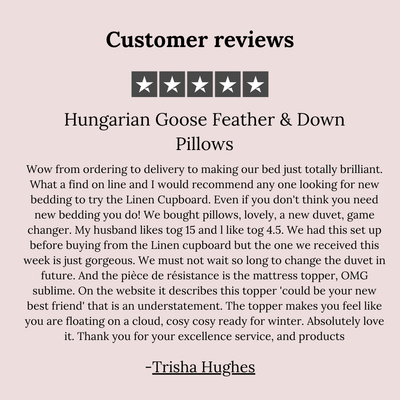 Hungarian Goose Feather & Down Pillows