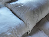 cool nights pillows