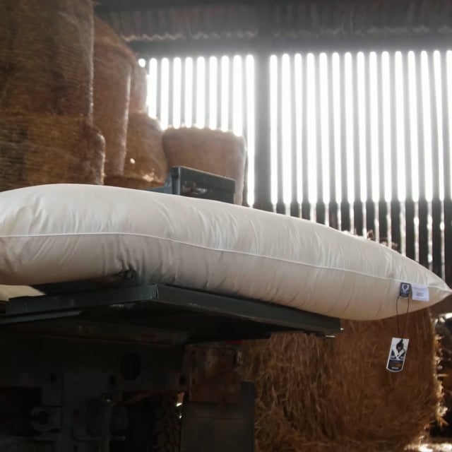 bolster wool