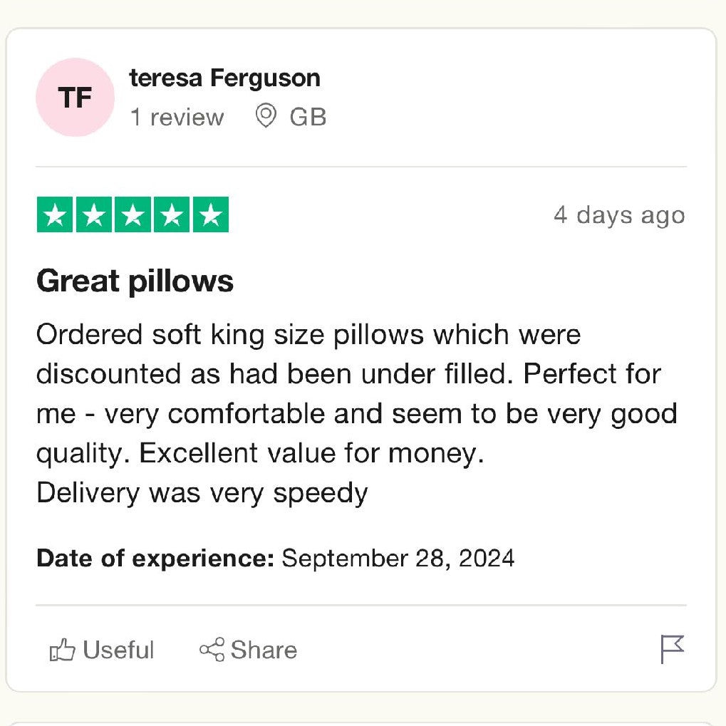 Touch Of Silk Kingsize Pillows